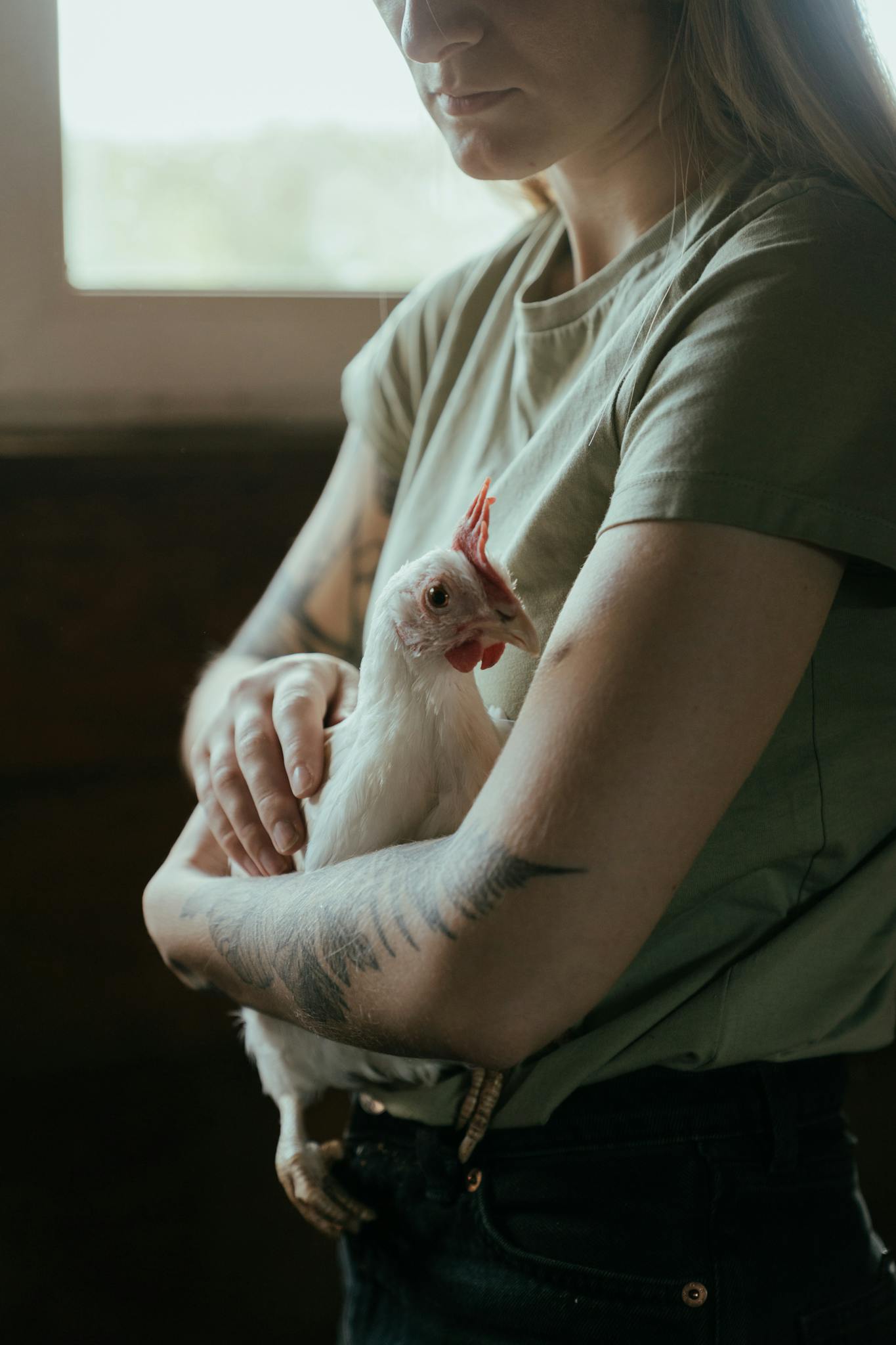 Mites On Chickens: How To Spot, Treat And Prevent Infestations - Dealing With Mite Infestations In Chicken Nesting Boxes