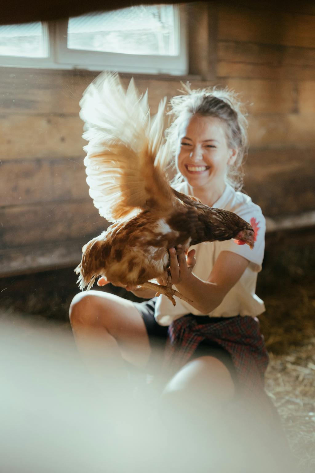 View of How To Clip Chicken Wings Safely: A Step-By-Step Guide