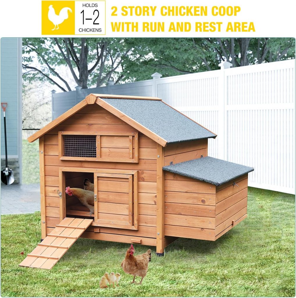 Aivituvin Large Chicken House Review – Best For 2–3 Chickens