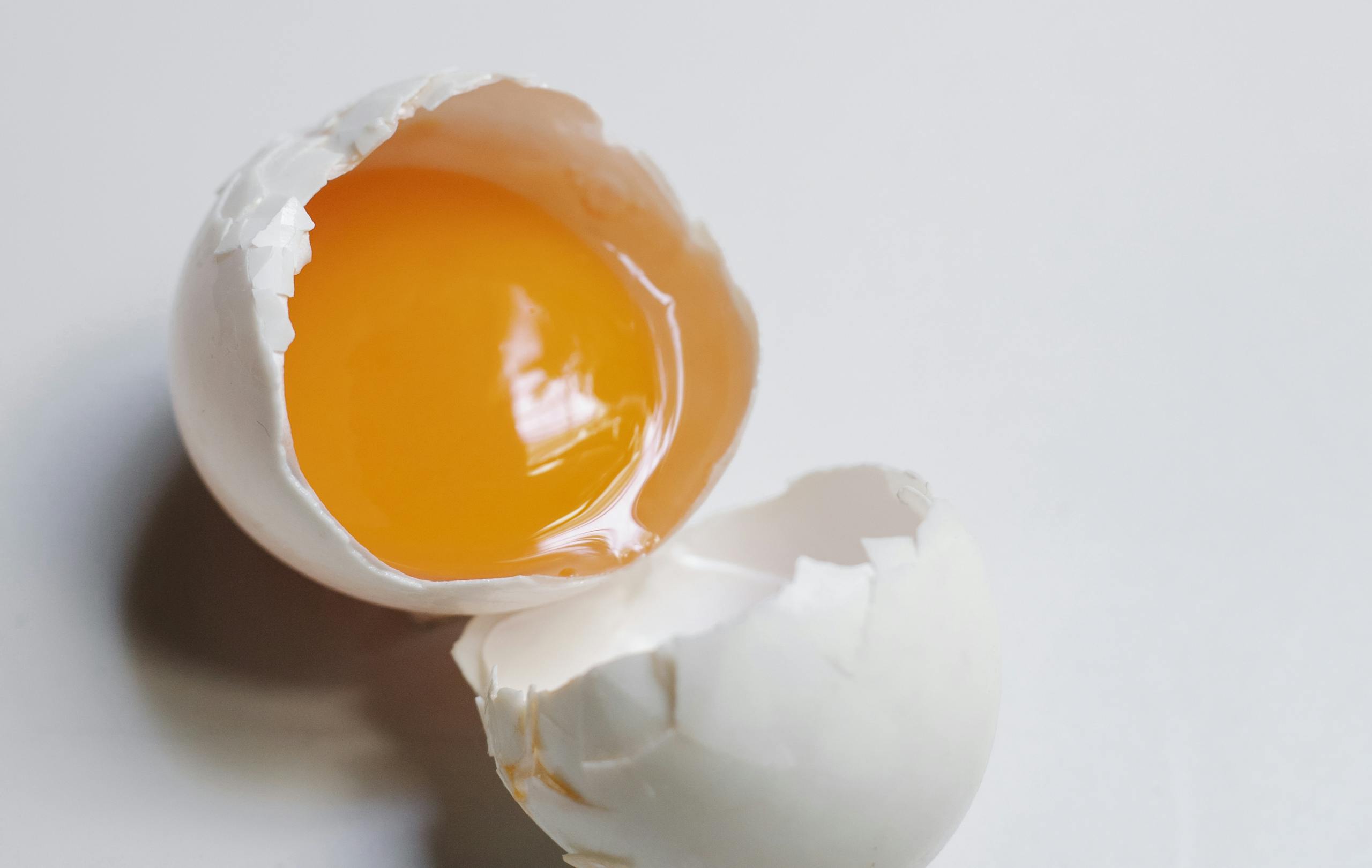 How To Tell If Your Chickens Are Getting Enough Calcium. Top view of broken raw egg with yellow yolk and white eggshell.
